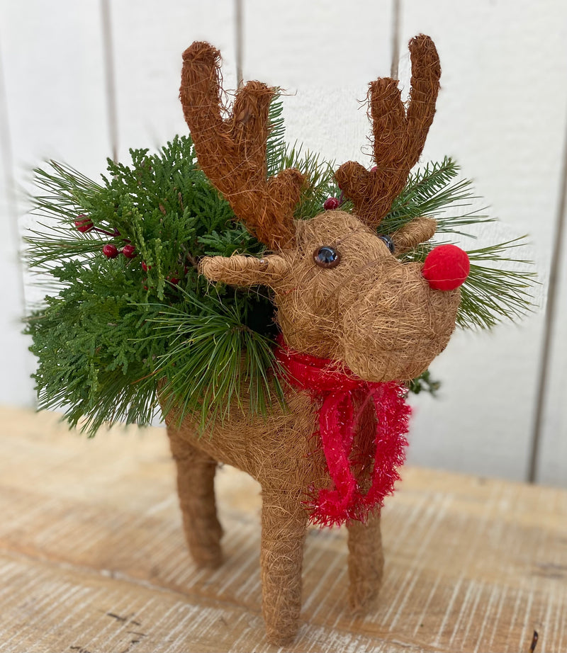 Workshop - Rudolph
