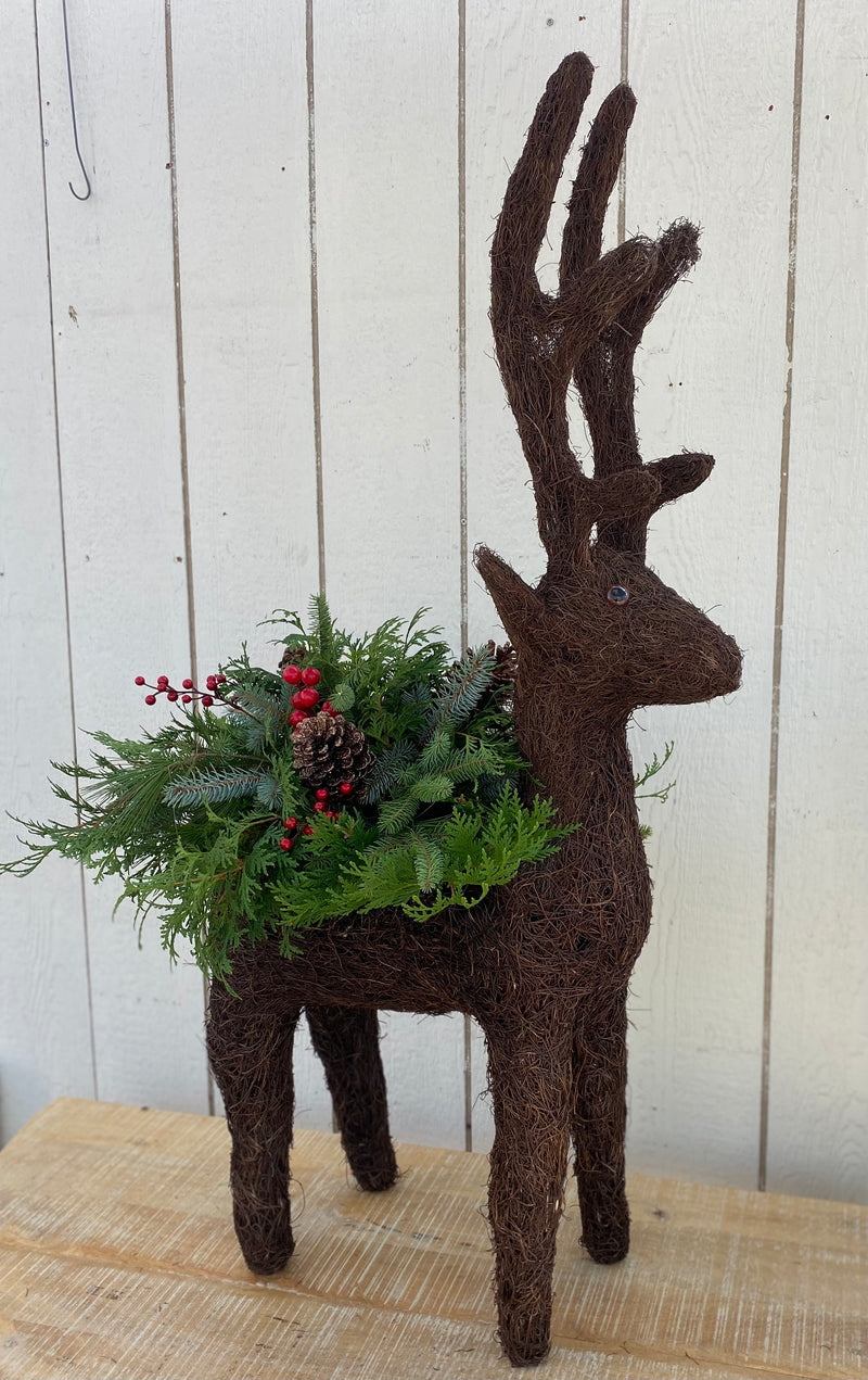 WORKSHOP - Dress Up Donner